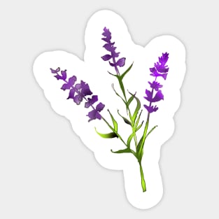 Beautiful Lavender flower Lavender lover botanist wildflower Sticker